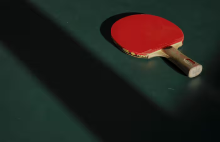 PingPong Paddle