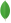 MongoDB Logo